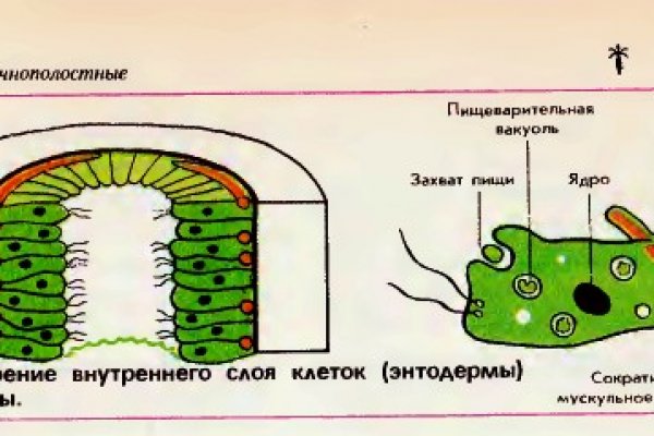 Каталог сайтов mega